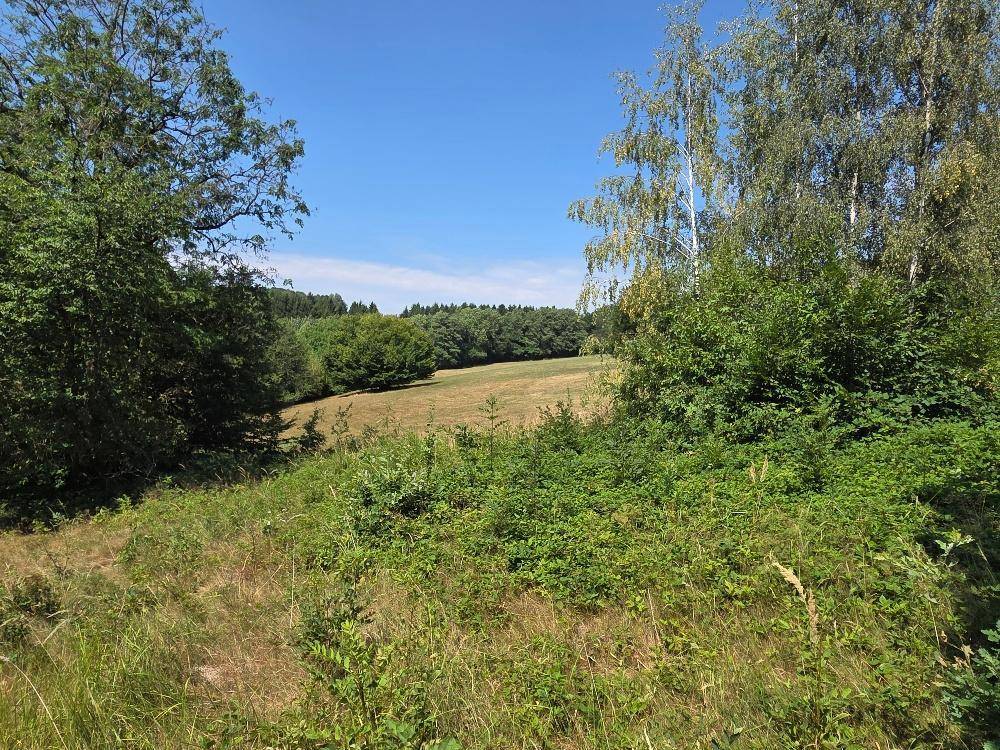Weite Felder und grüne Wälder unter einem klaren blauen Himmel, eine idyllische Naturlandschaft.
