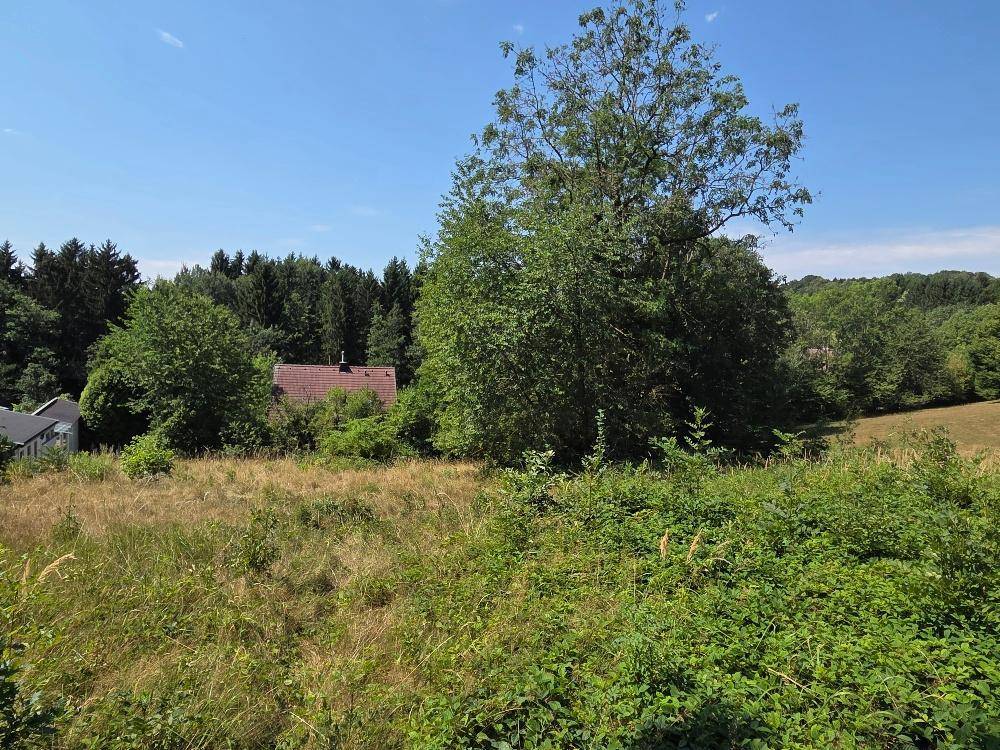 Panoramablick über grüne Felder und Wälder mit einem roten Hausdach in der Ferne.