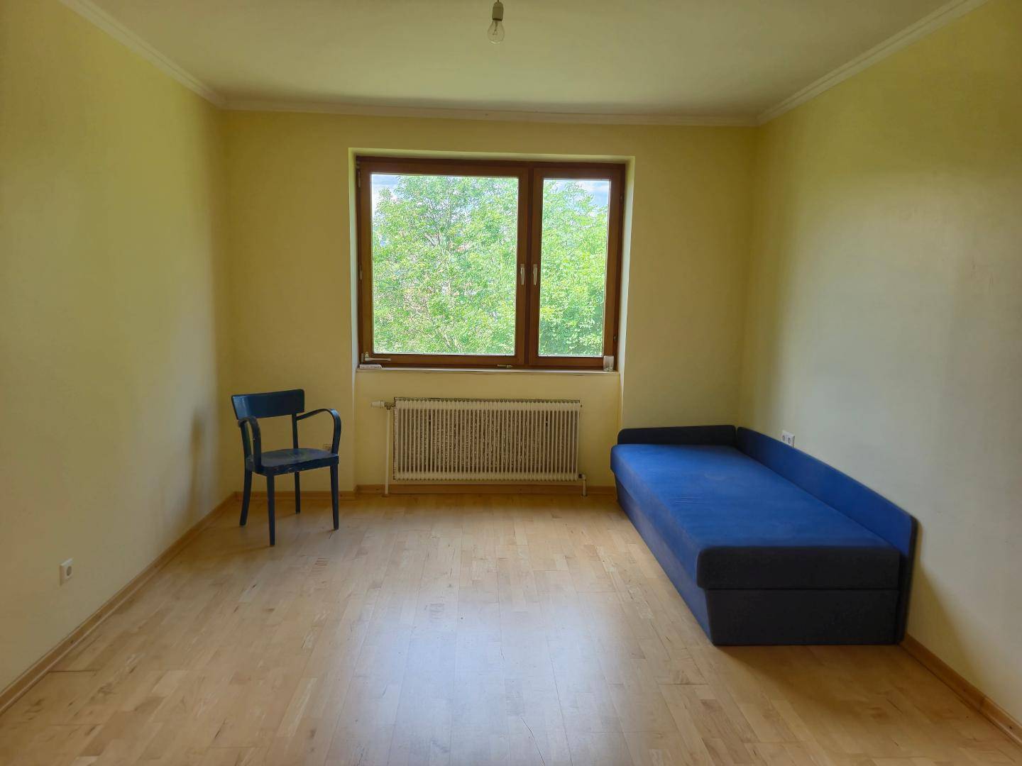 Helles Zimmer mit Holzboden, großem Fenster und Blick ins Grüne, ausgestattet mit einem Sofa.