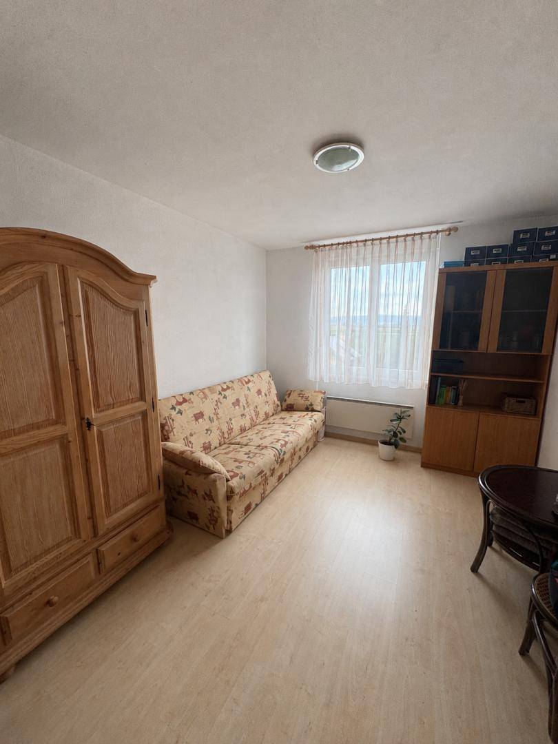 Gemütliches Zimmer mit Holzschrank, Schlafsofa und Blick durch das Fenster in die Landschaft.