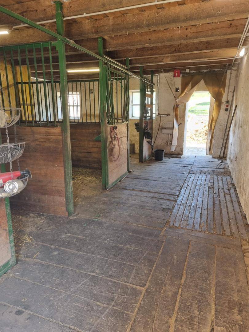 Innenansicht eines Pferdestalls mit Holzboxen und rustikalem Holzboden.