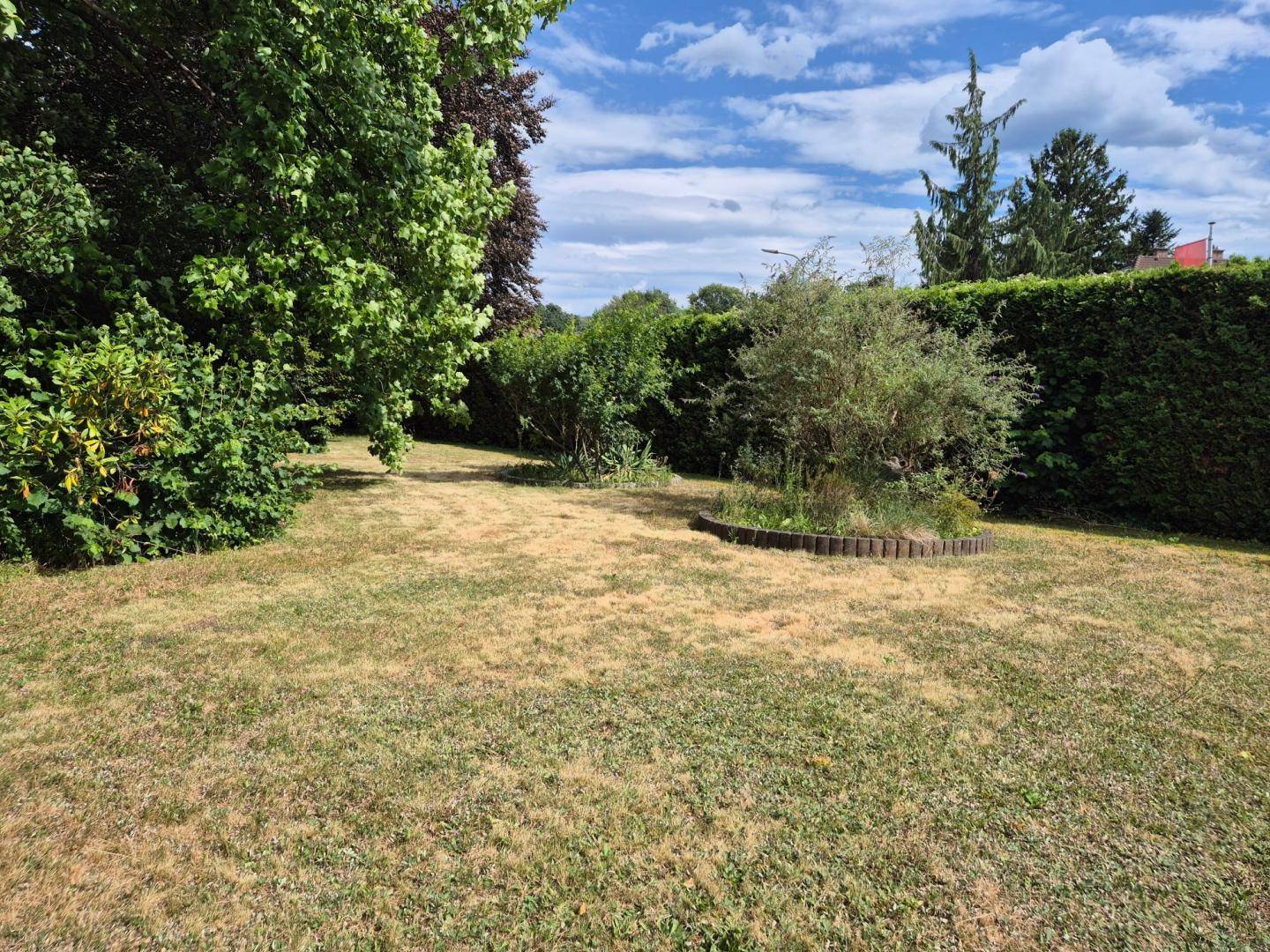 Weitläufiger Gartenbereich mit Rasenfläche, Hecken und verschiedenen Bäumen unter sonnigem Himmel.