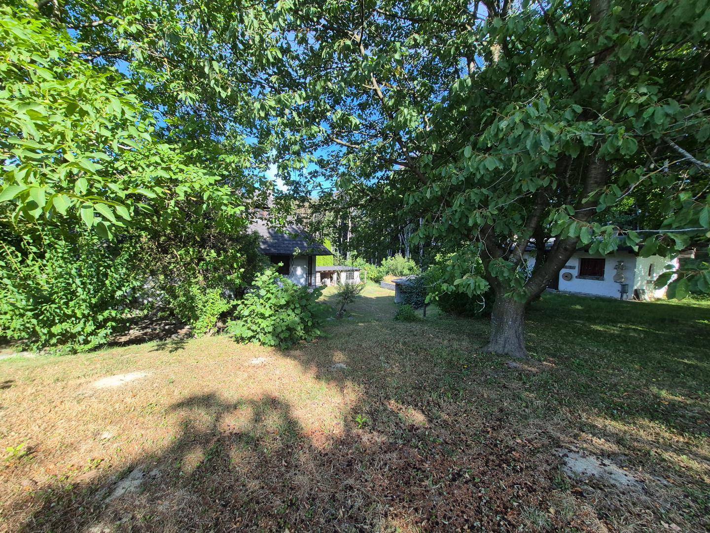 Großer Gartenbereich mit alten Bäumen und Blick auf das Haupthaus im Hintergrund.