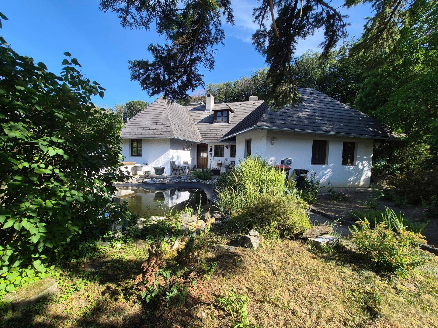 Blick auf das Haus mit einem natürlichen Teich und umgebenden Bäumen unter blauem Himmel.