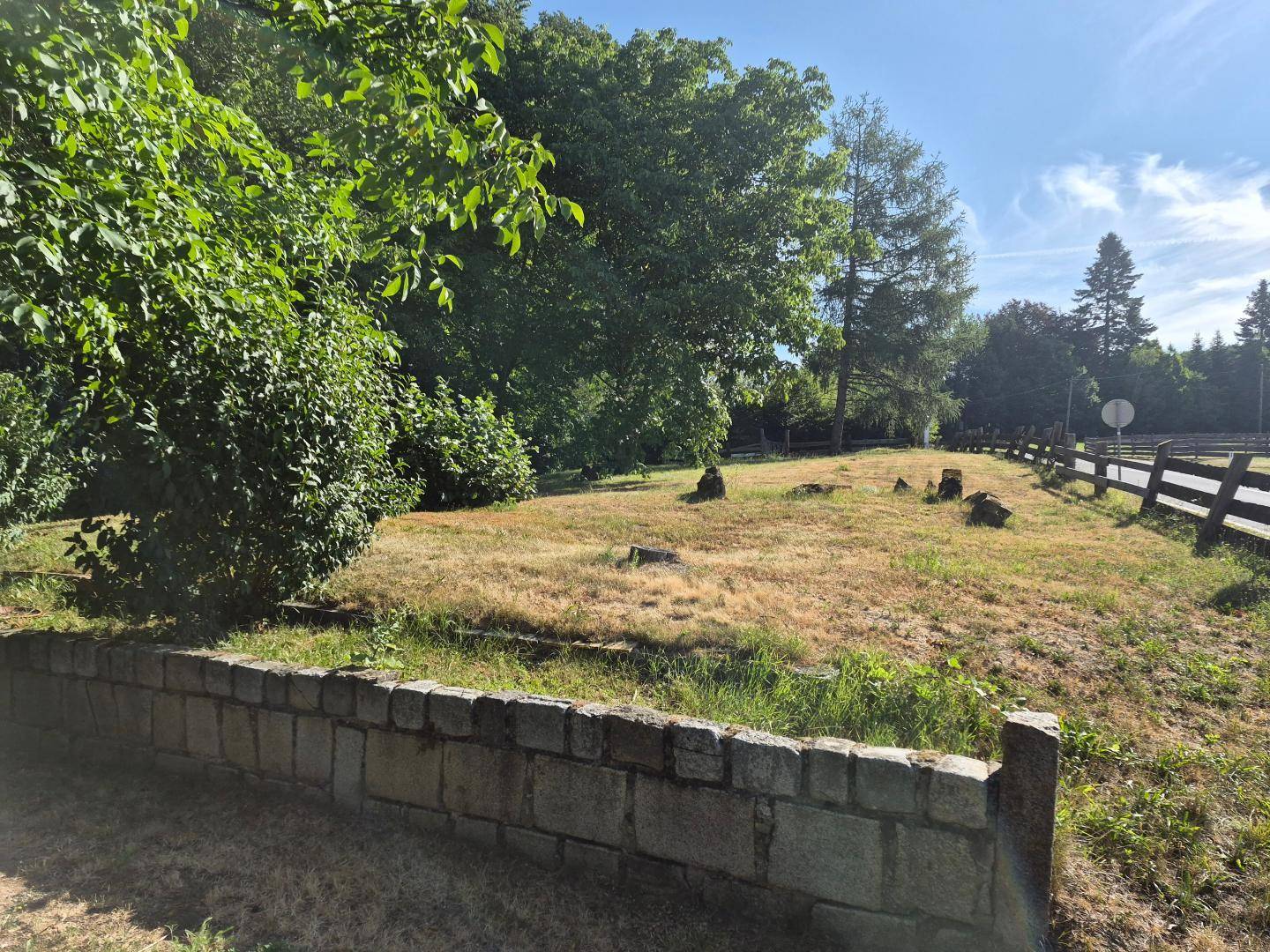 Außenbereich mit einer Steinmauer, trockenem Gras und Bäumen unter einem klaren blauen Himmel.