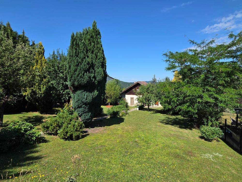 Sonniger Garten mit Rasen, hohen Bäumen und Blick auf ein charmantes Haus im Hintergrund.