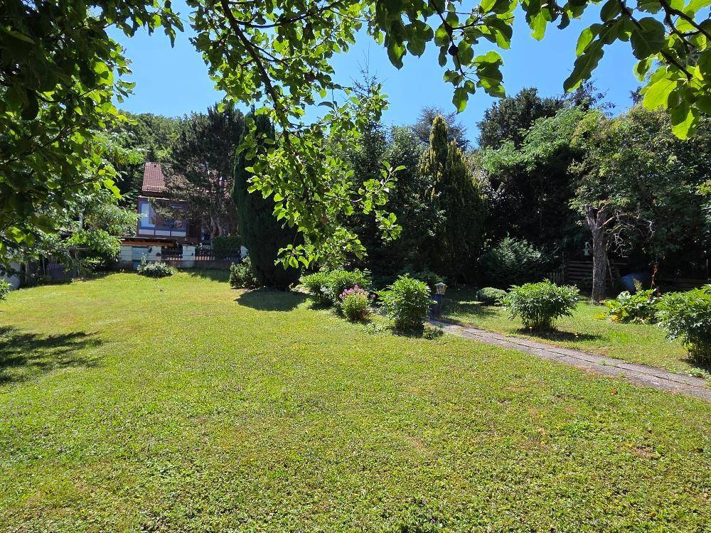 Weitläufiger, grüner Garten mit Rasenfläche, hohen Bäumen und einem Haus im Hintergrund.