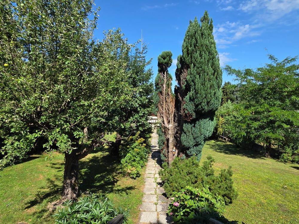 Idyllischer Gartenweg, gesäumt von hohen Bäumen und Sträuchern unter blauem Himmel.