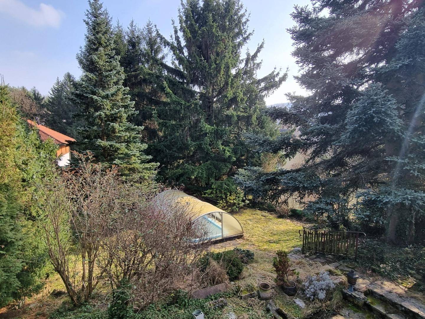 Großer Gartenbereich mit vielen Nadelbäumen und einem überdachten Pool unter blauem Himmel.