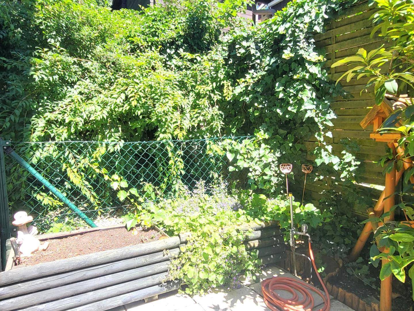 Kleiner, grüner Gartenbereich mit Zaun, Pflanzen und einem Vogelhäuschen.
