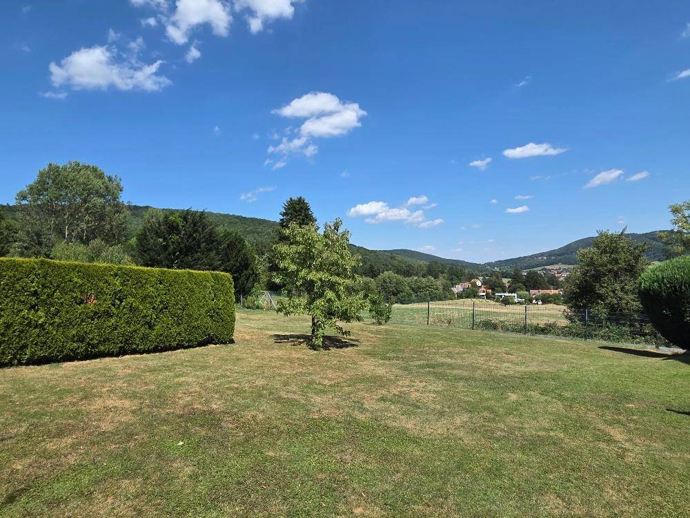 Weitläufige Rasenfläche mit Hecke und Bäumen, bietet einen weiten Blick auf die Landschaft.