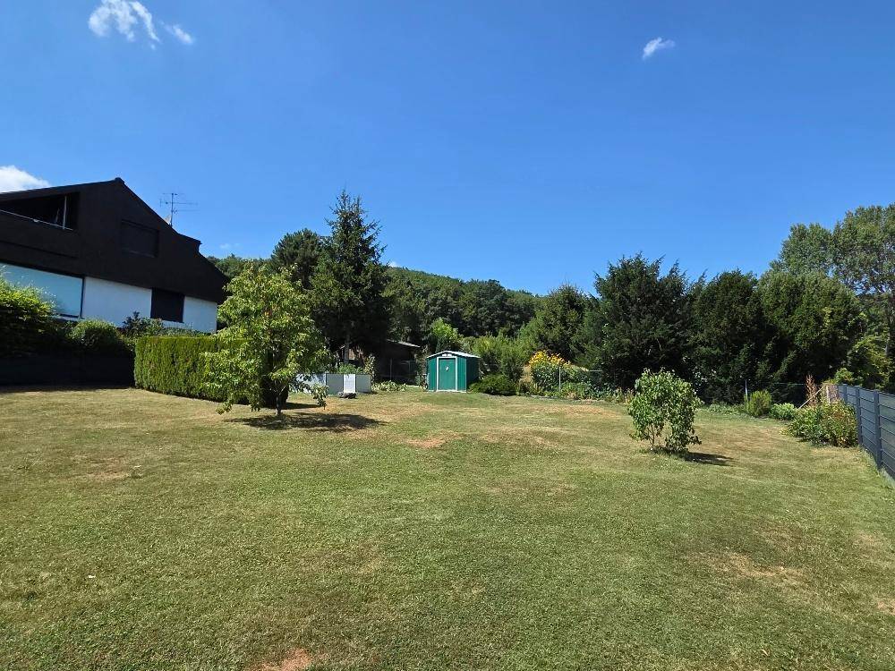 Große Rasenfläche mit Bäumen und Hecke, im Hintergrund ein kleiner Geräteschuppen.