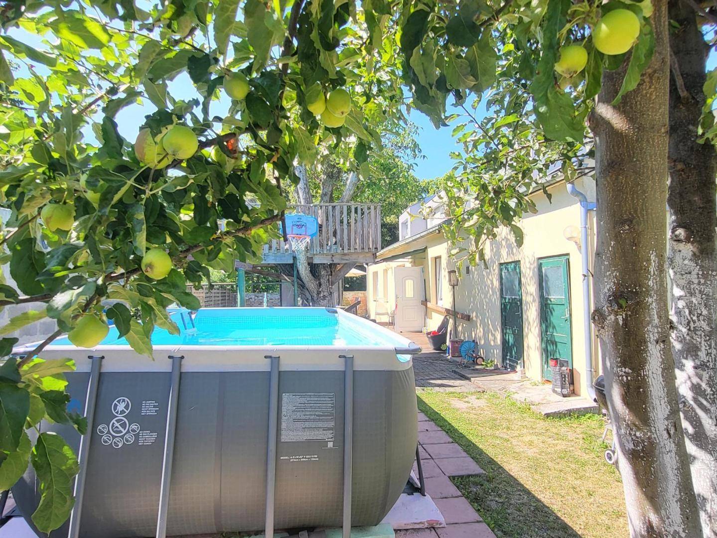 Großer Gartenbereich mit Aufstellpool und Obstbäumen unter blauem Himmel.