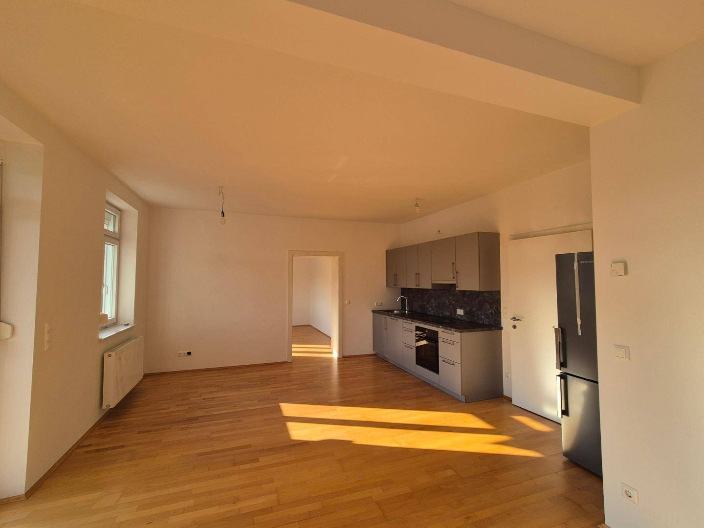 Offener Wohnbereich mit integrierter Küchenzeile, Holzboden und viel natürlichem Sonnenlicht.