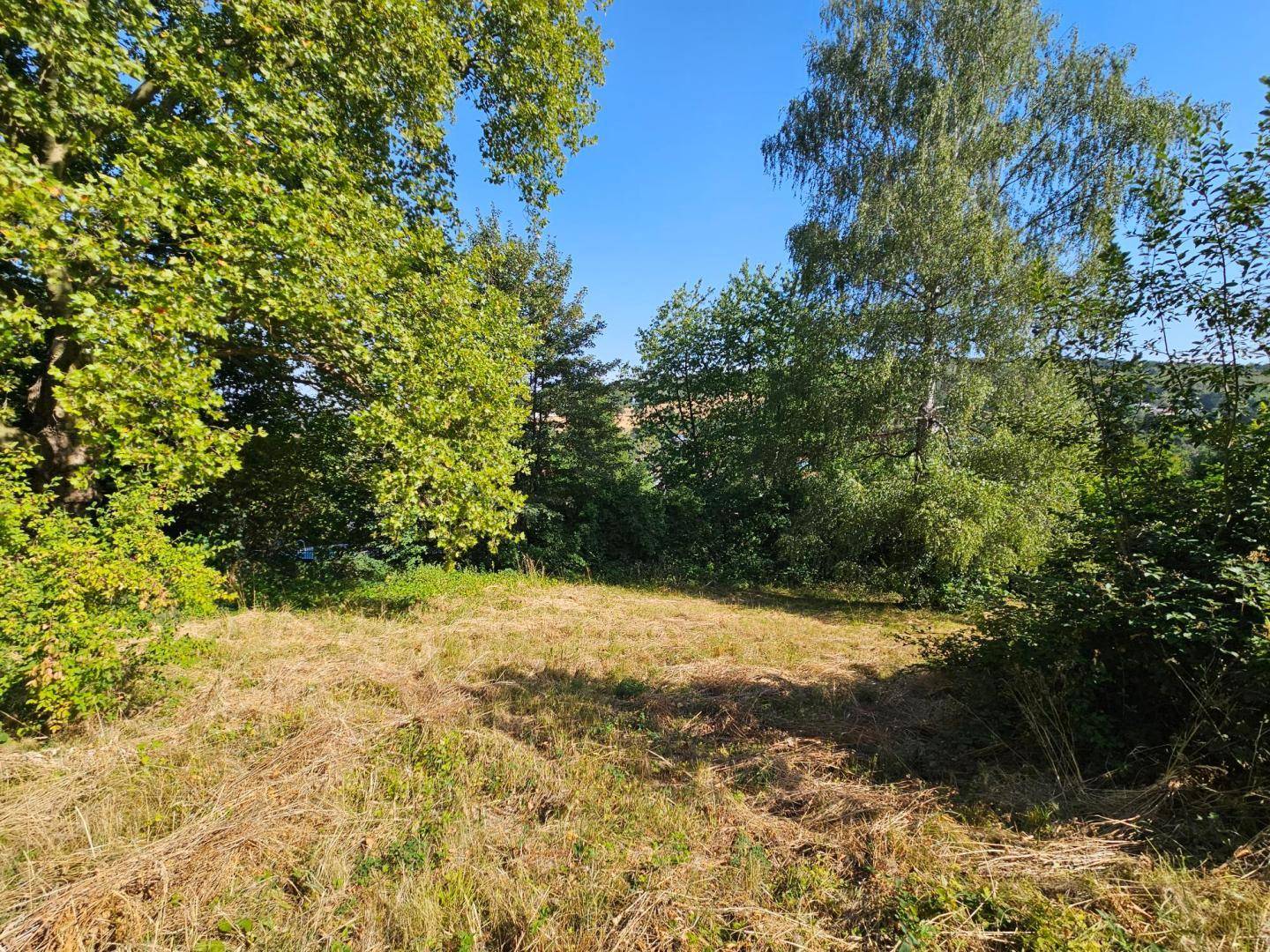 Weitläufiger Gartenbereich mit Wiese und Bäumen, der viel Platz im Freien bietet.