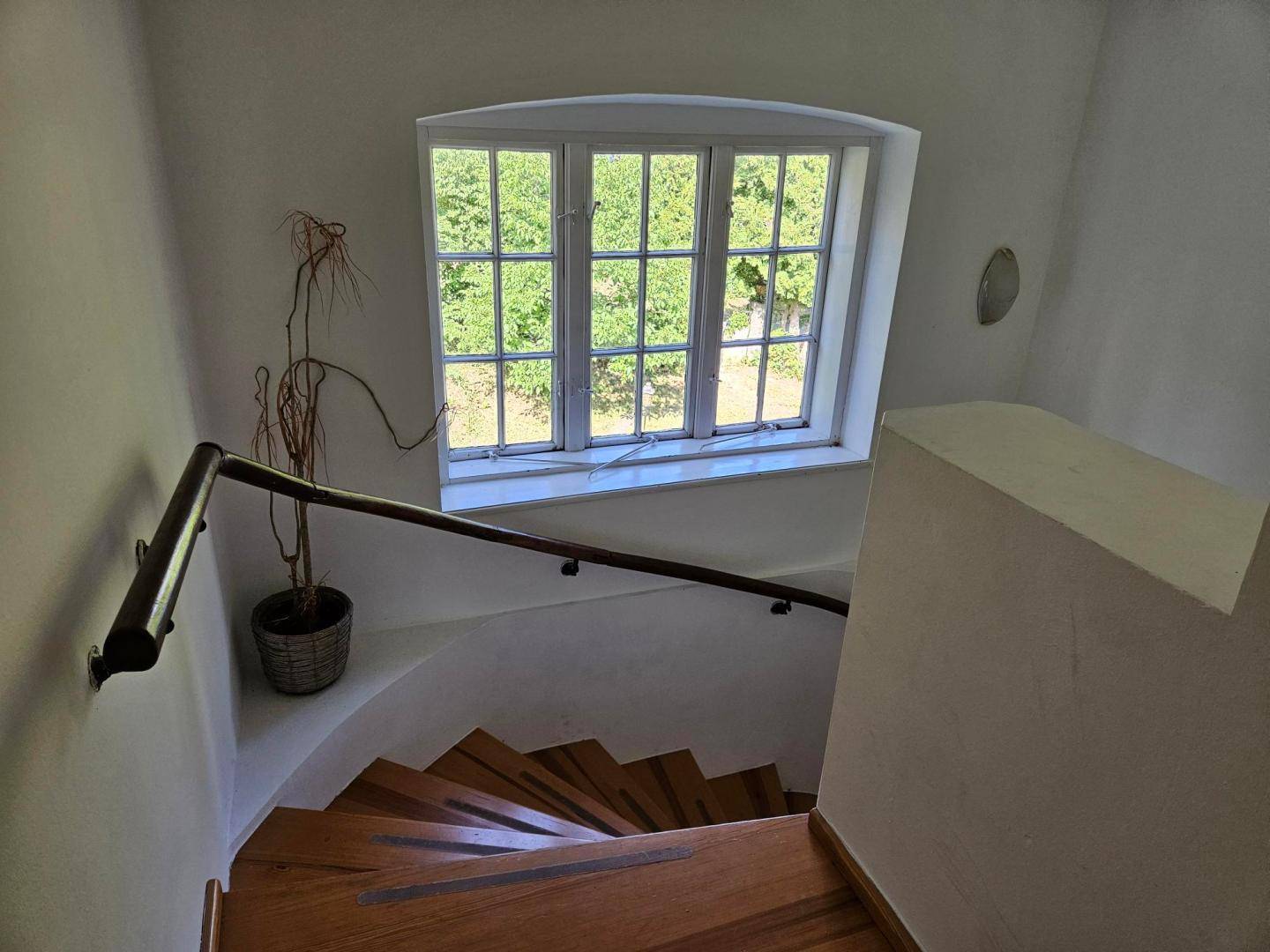 Holztreppe mit Geländer und einem Fenster, das natürliches Licht in den Flur bringt.
