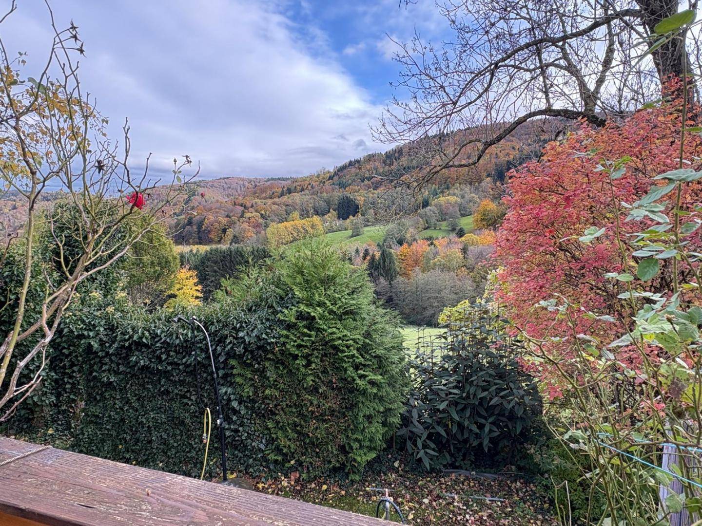 Herbstliche Landschaft mit bunten Bäumen und Sträuchern, gesehen von einer erhöhten Position.