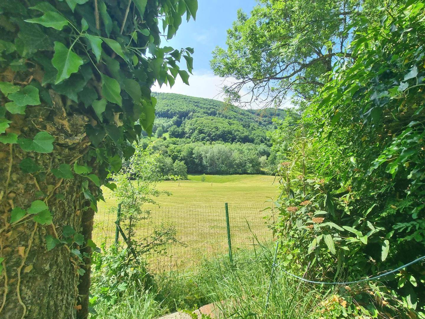 Malerischer Blick auf grüne Hügel und Felder, umrahmt von üppiger Vegetation.