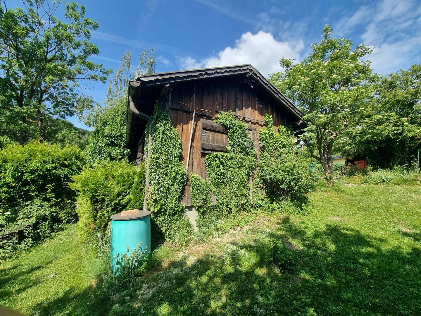 Rustikaler Holzschuppen, teilweise mit Efeu bewachsen, in einem grünen Gartenbereich.
