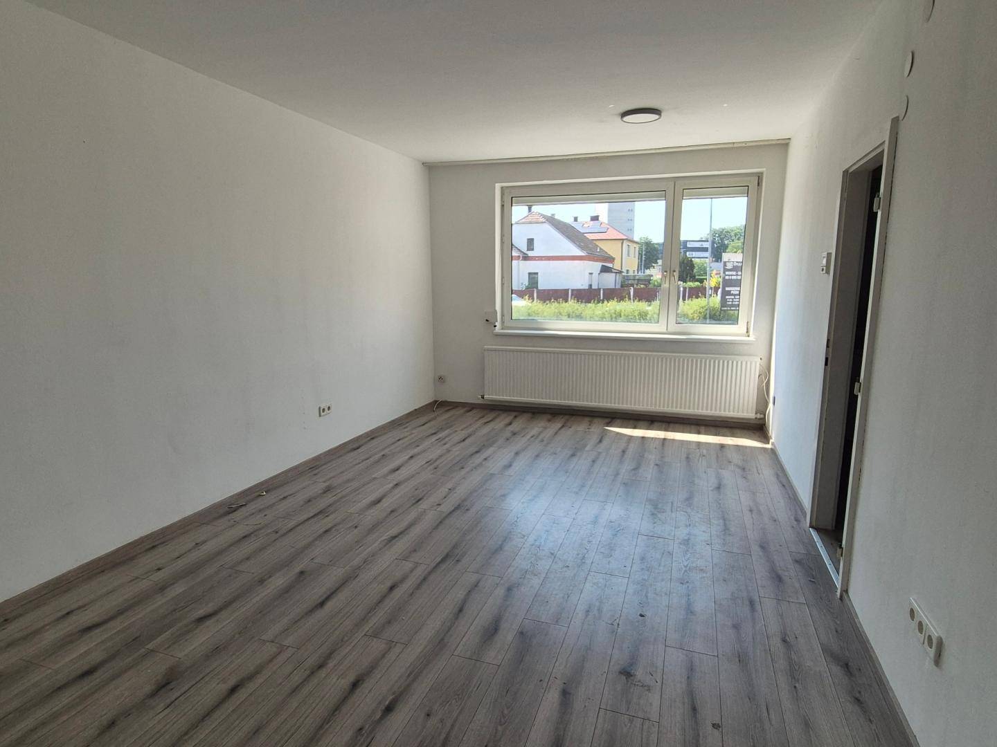 Wohn-Esszimmer