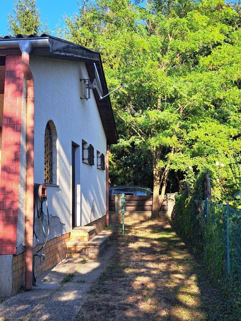 Schmaler Weg entlang der Hausseite mit üppigem Grün und einem Zaun.