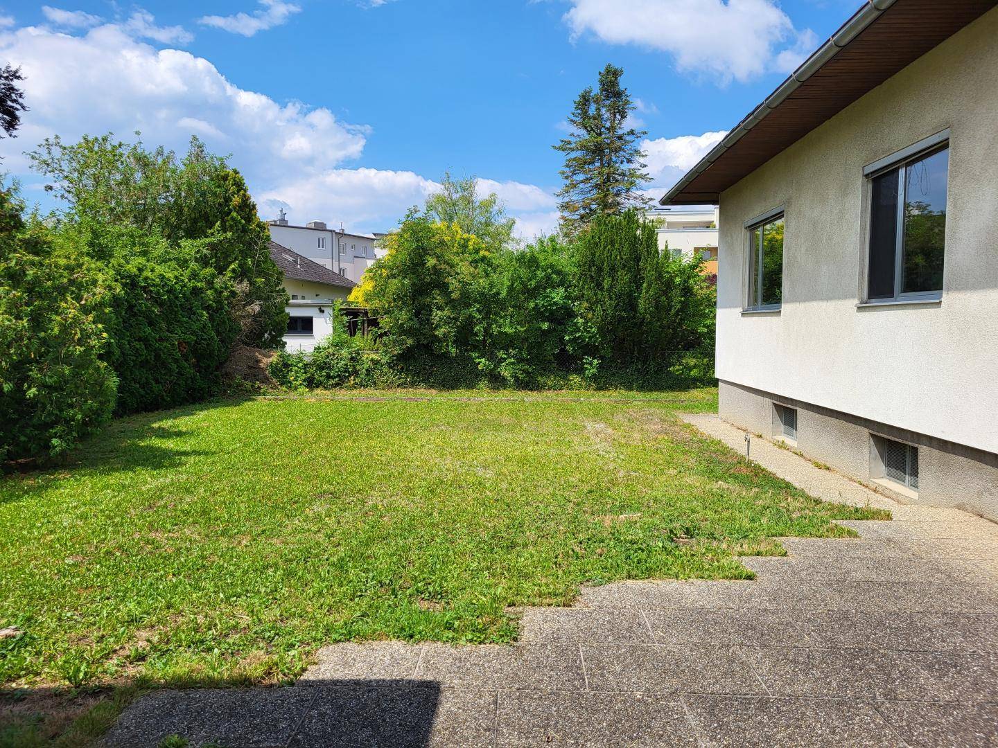 Ungepflegter Gartenbereich neben dem Haus mit altem Plattenweg und viel Grün.