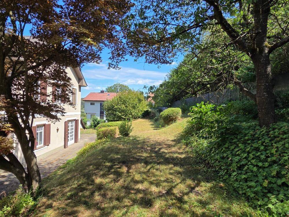 Großer, naturbelassener Gartenbereich mit Bäumen und Sträuchern.