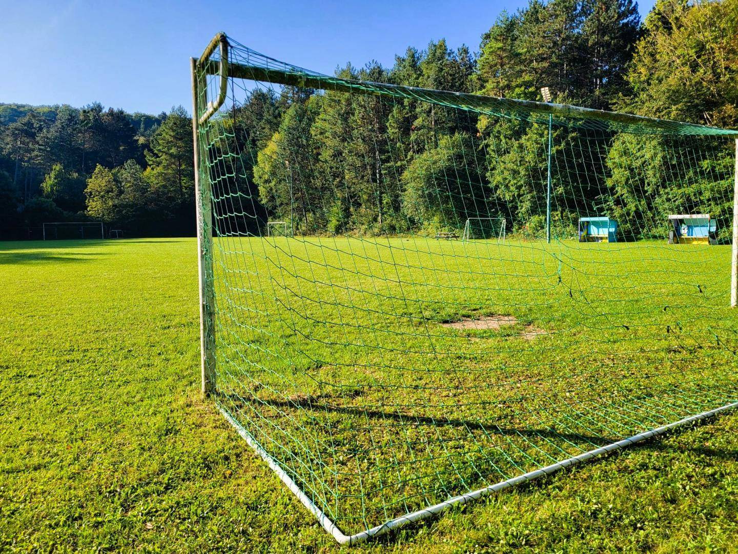Fußballtor auf einem großen Rasenplatz, umgeben von weiteren Feldern und Wald.