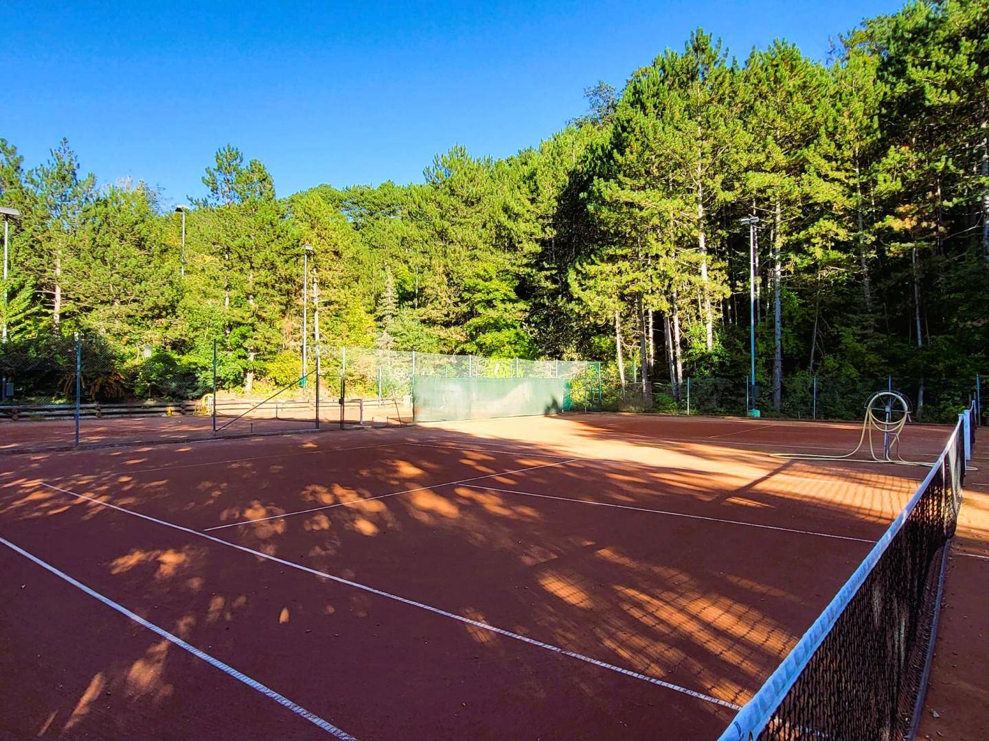 Roter Sandtennisplatz umgeben von hohen Kiefern unter strahlend blauem Himmel.