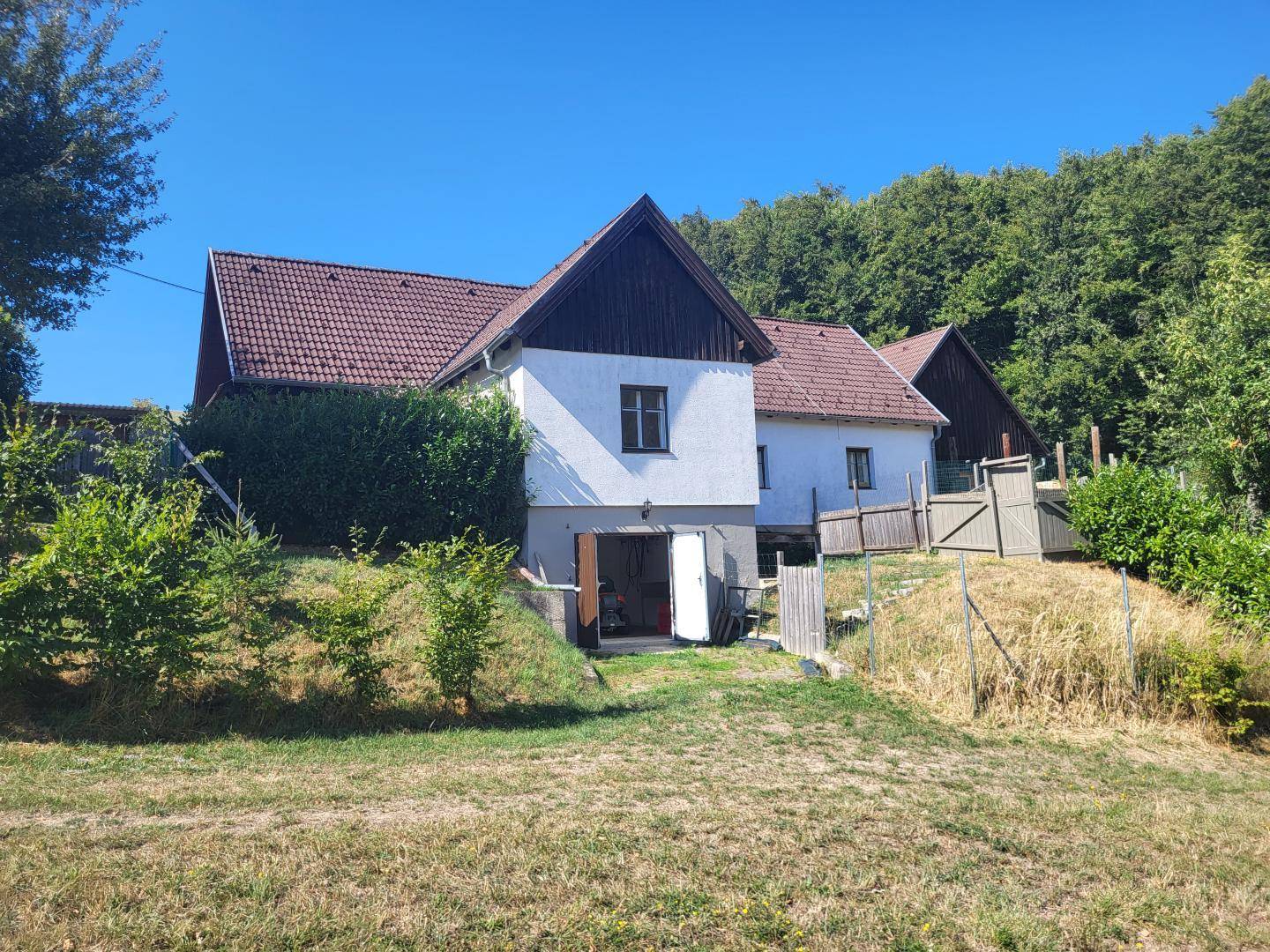 Seitenansicht des Hauses mit weißer Fassade, Satteldach und einem Eingang zum Untergeschoss, umgeben von Natur.