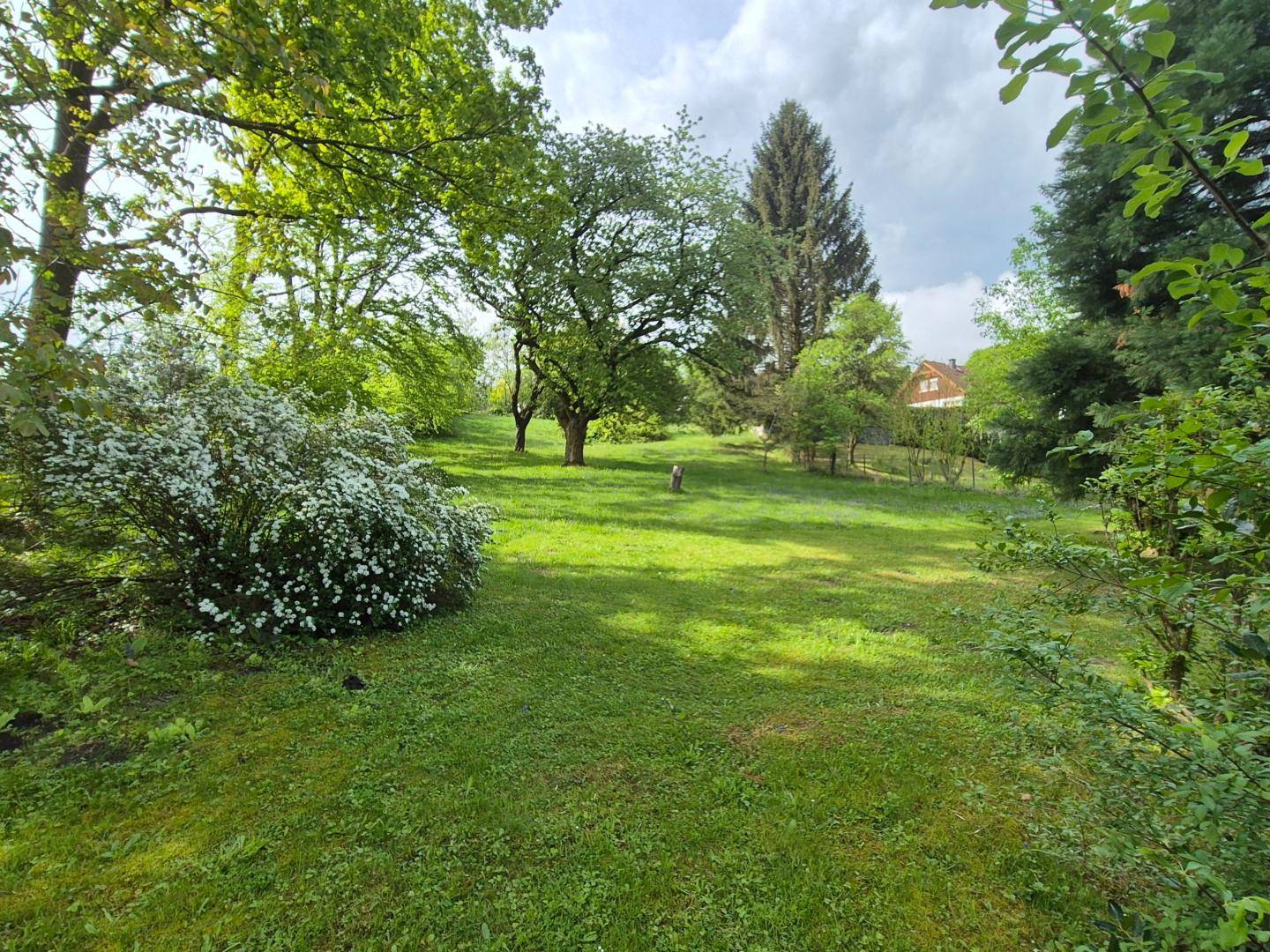 Weitläufige grüne Rasenfläche mit altem Baumbestand und einem Haus in der Ferne.