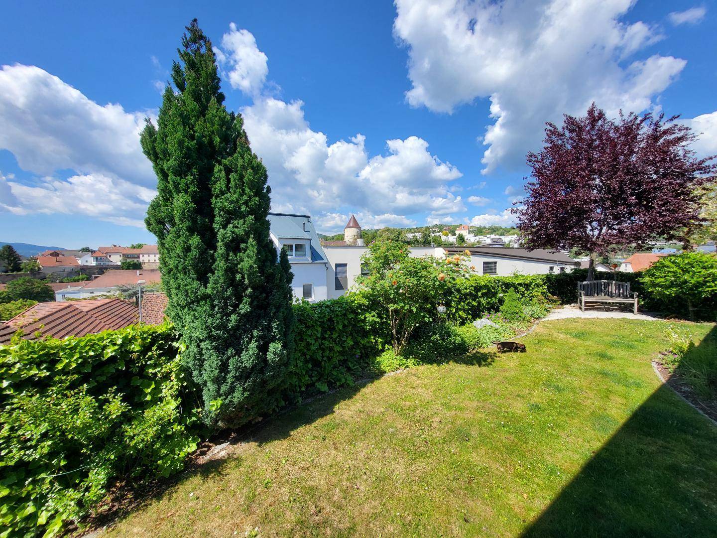 Gepflegter Gartenbereich mit Rasenfläche, hohen Bäumen und einer Sitzbank mit Stadtblick.