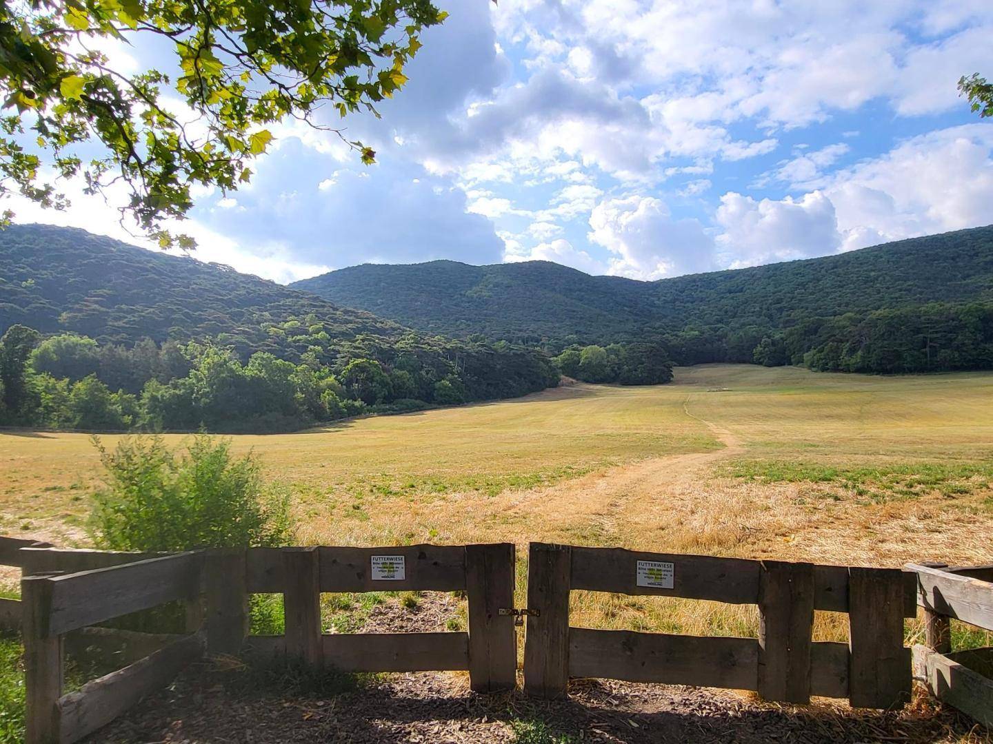 Weitläufige Landschaft mit grünen Feldern und bewaldeten Hügeln unter einem blauen Himmel.