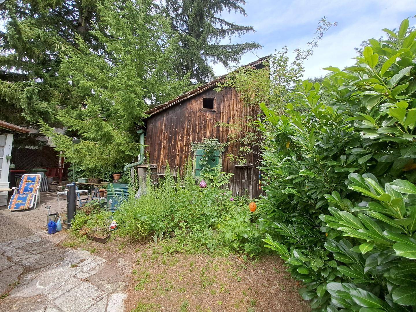 Alter Holzschuppen im Garten umgeben von dichtem Grün und Bäumen.