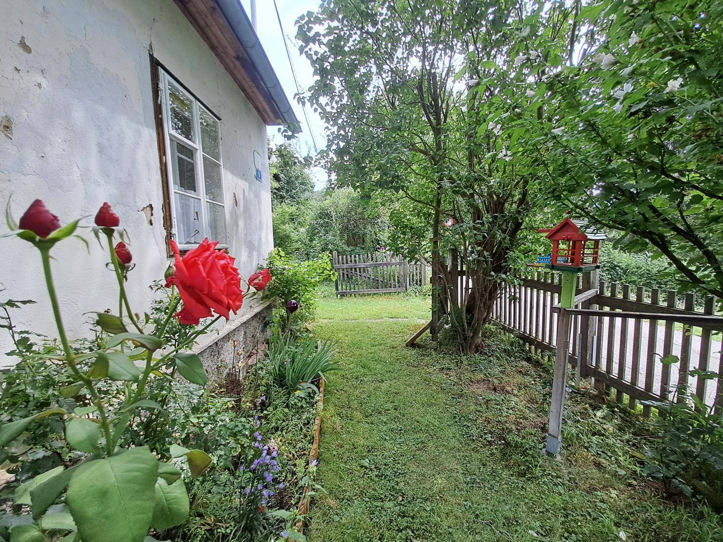Seitlicher Gartenweg entlang der Hauswand mit blühenden Rosen und Holzzaun.
