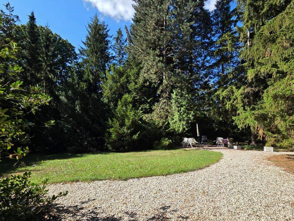 Großer Gartenbereich mit Rasenfläche und Kiesweg, umgeben von hohen Bäumen.