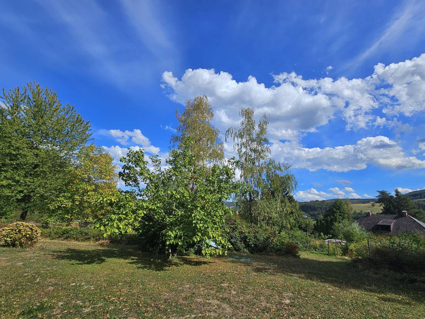 Großer Gartenbereich mit Bäumen und Sträuchern, der einen weiten Blick auf die hügelige Landschaft bietet.