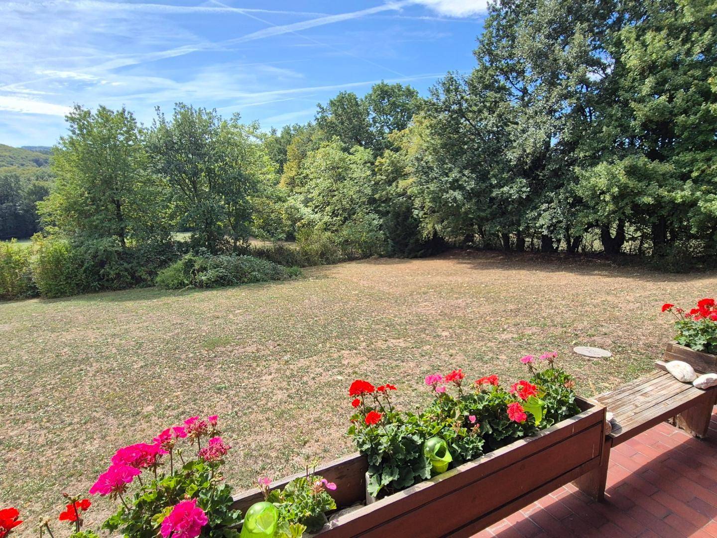 Blick von der Terrasse