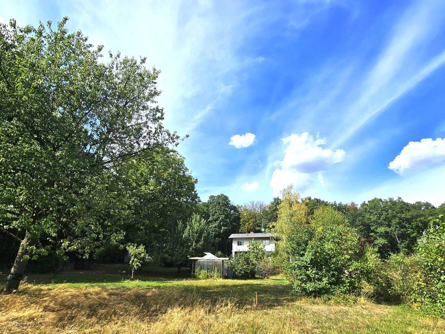 Weitläufiger Gartenbereich mit hohen Bäumen und einem Haus im Hintergrund unter blauem Himmel.