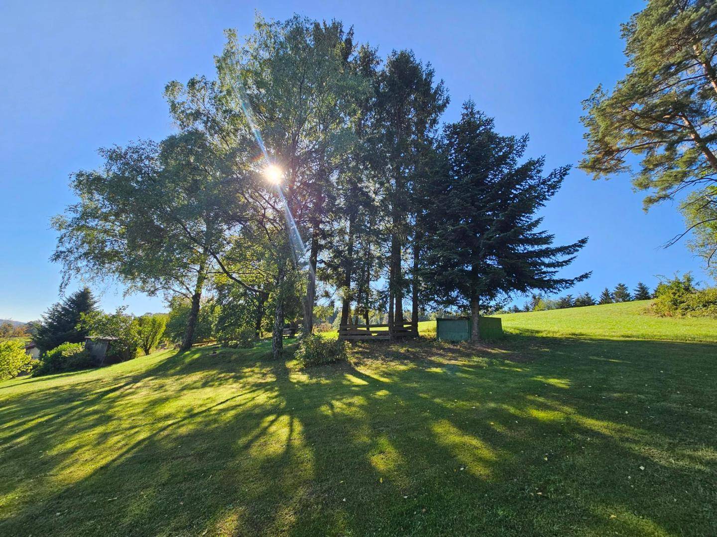 Sonnige Grünfläche mit Bäumen und weitem Blick auf die umliegende Naturlandschaft.