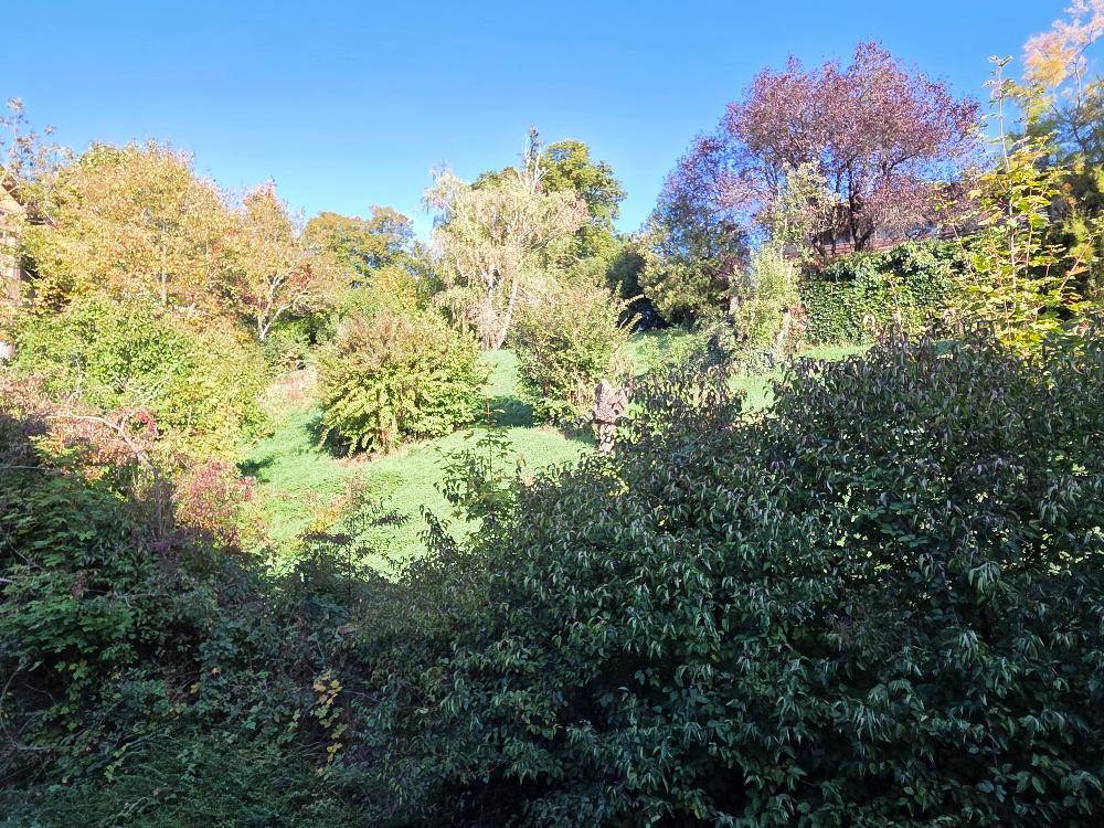 Malerischer Blick auf eine grüne Hügellandschaft mit üppiger Vegetation.