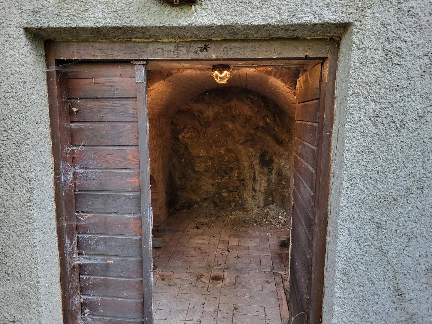 Eingang zu einem rustikalen Kellerraum mit Holztür und Ziegelboden.