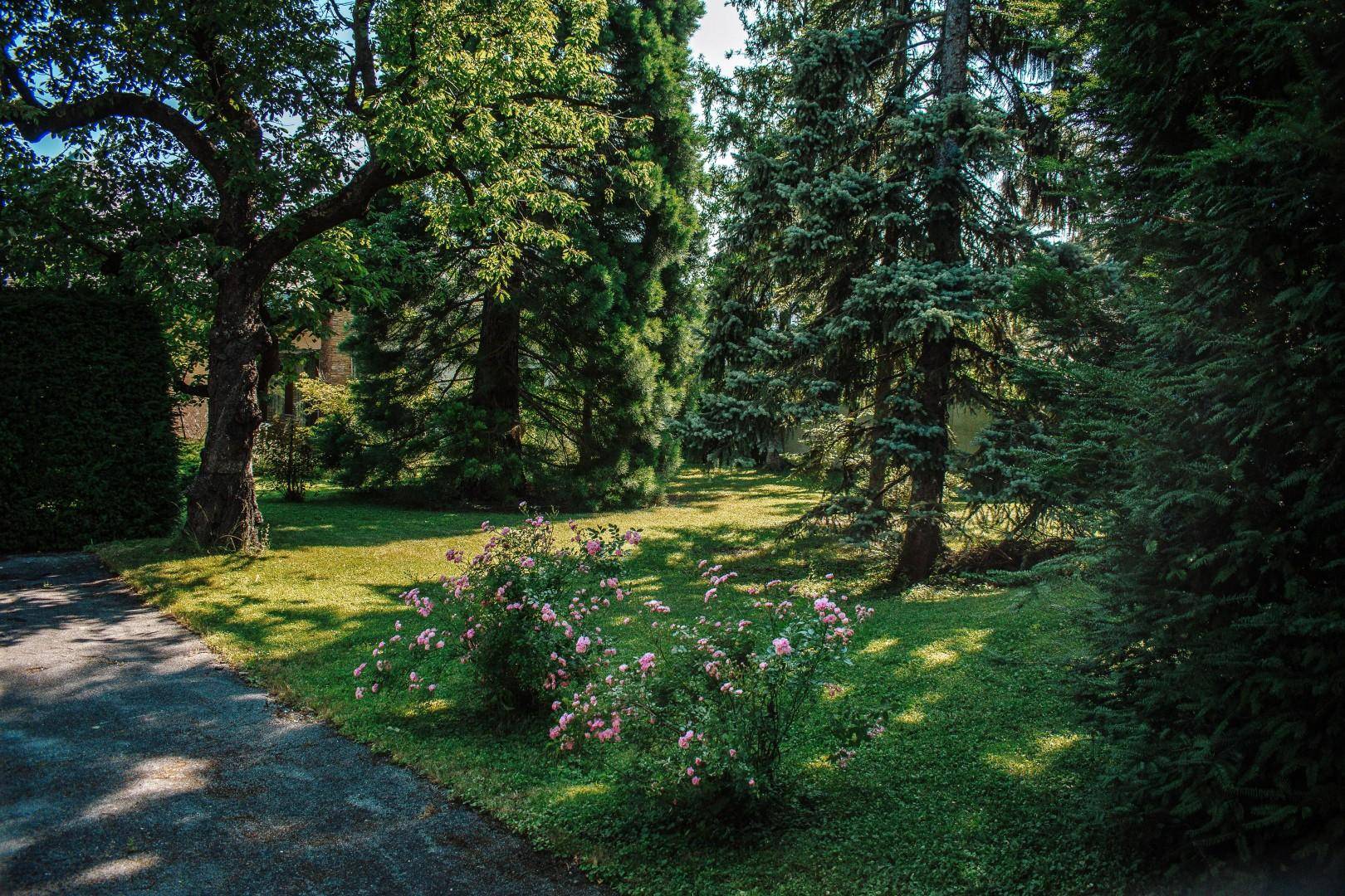 42 - DSC_0146