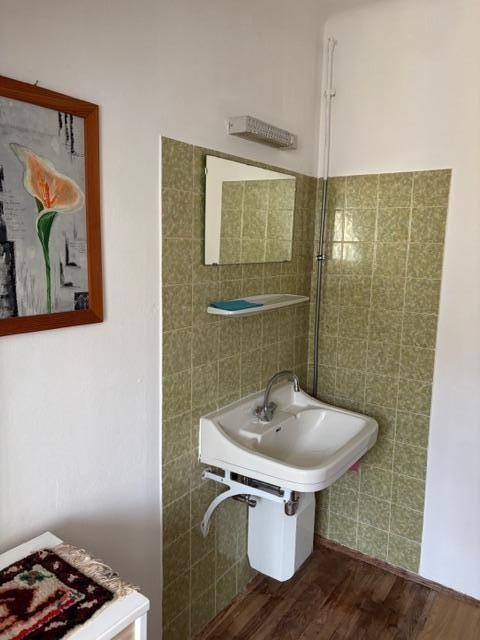 Badezimmer mit grün gefliesten Wänden, einem einzelnen Waschbecken und Holzfußboden.