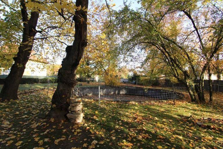 Herbstliche Gartenszene mit Bäumen, bunten Blättern und einem eingezäunten, leeren Teich oder Poolbereich.
