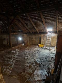 Geräumiger Dachboden mit sichtbaren Holzbalken und Leiter zum Dachfenster.