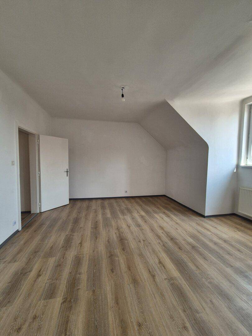 Zimmer 2
