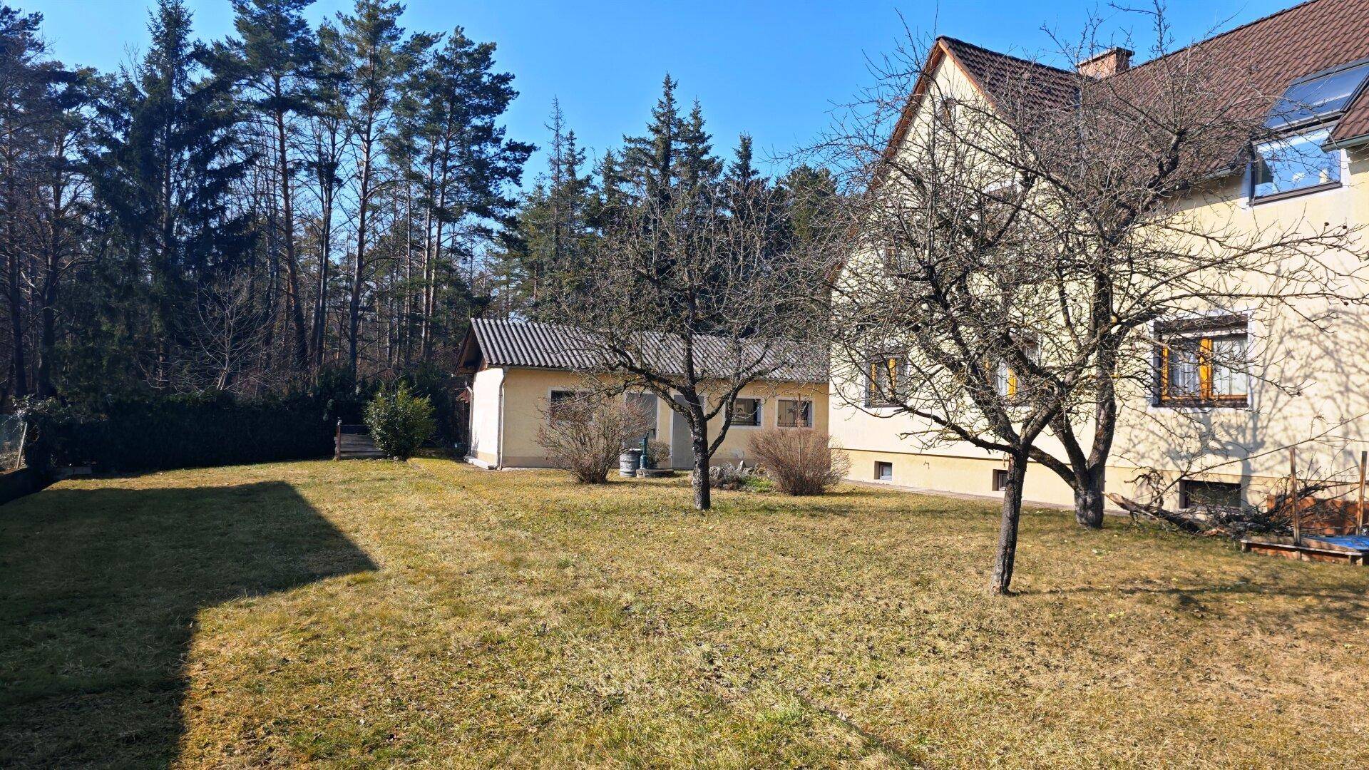 Großer, sonniger Garten mit Rasenfläche und Bäumen hinter dem Einfamilienhaus.