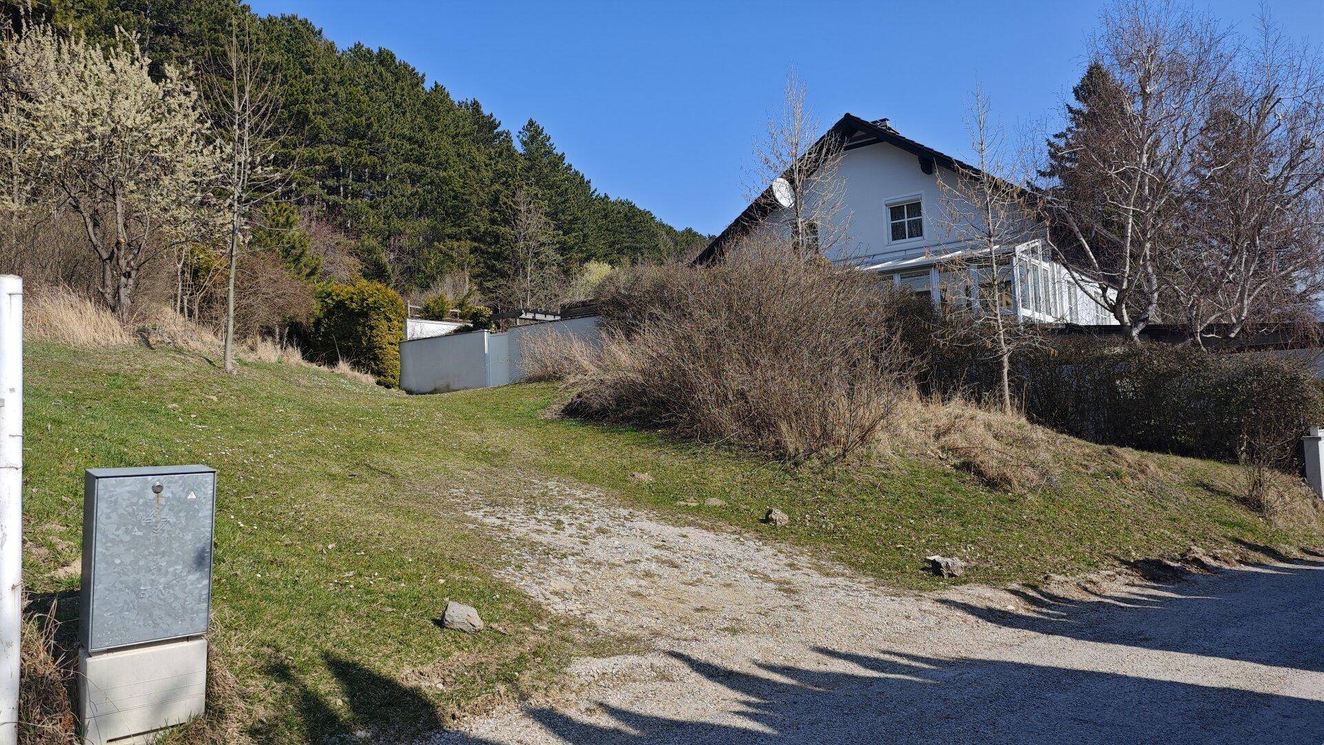 Schotterweg führt einen grünen Hang hinauf zu einem Haus mit Wald im Hintergrund.