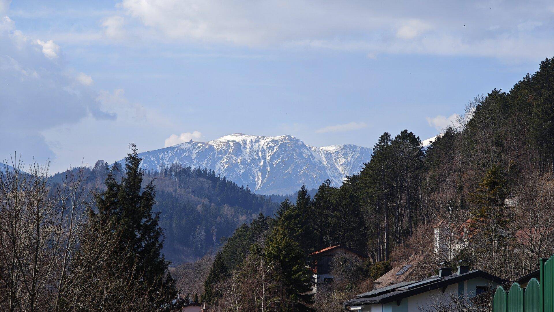 Weitblick auf schneebedeckte Berge in der Ferne, umgeben von Wäldern und Häusern.